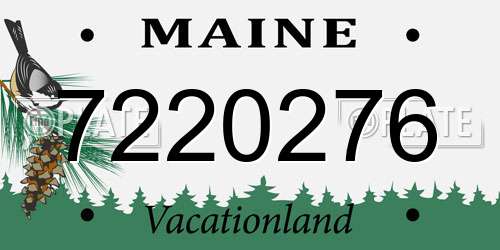 7220276 Maine License Plate