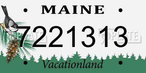 7221313 Maine License Plate