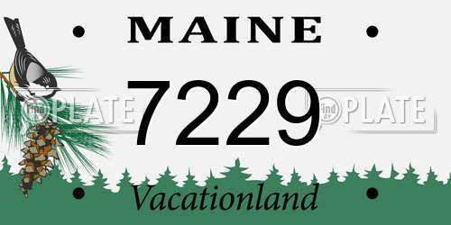 7229 Maine License Plate