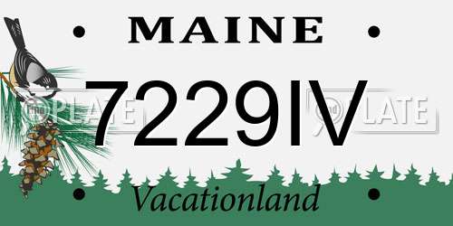 7229IV Maine License Plate