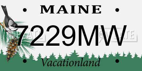 7229MW Maine License Plate