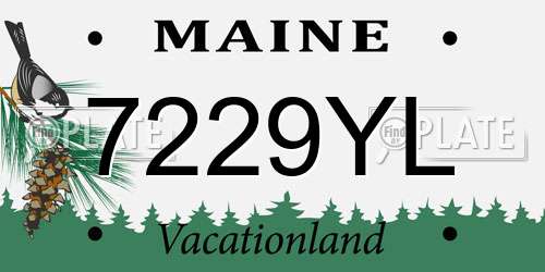 7229YL Maine License Plate