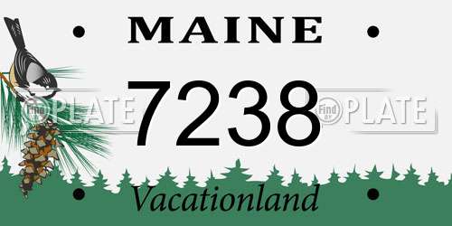 7238 Maine License Plate