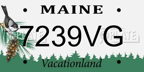 7239VG Maine License Plate