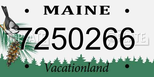 7250266 Maine License Plate