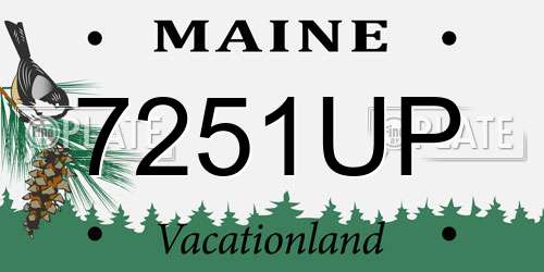 7251UP Maine License Plate