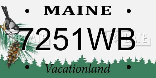 7251WB Maine License Plate