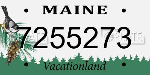 7255273 Maine License Plate