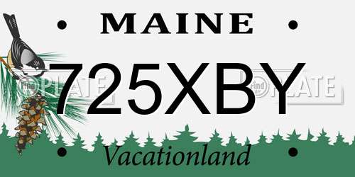 725XBY Maine License Plate