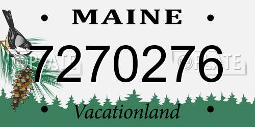 7270276 Maine License Plate