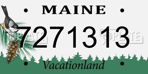 7271313 Maine License Plate