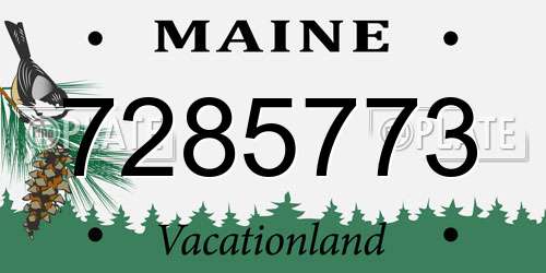 7285773 Maine License Plate