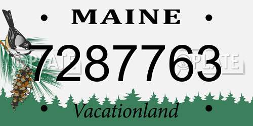 7287763 Maine License Plate