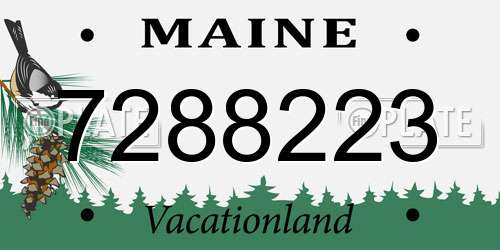 7288223 Maine License Plate