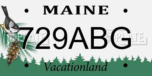 729ABG Maine License Plate