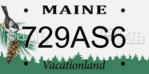 729AS6 Maine License Plate