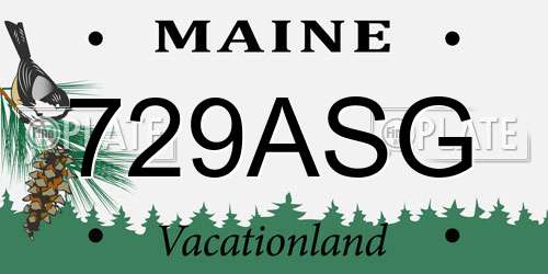 729ASG Maine License Plate