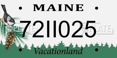 72II025 Maine License Plate