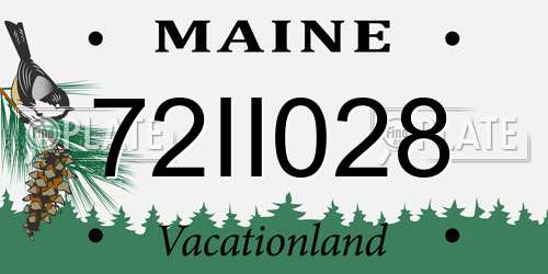 72II028 Maine License Plate