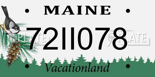 72II078 Maine License Plate