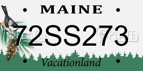 72SS273 Maine License Plate