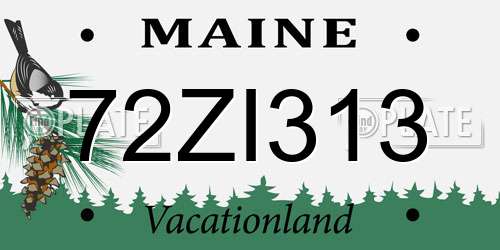 72ZI313 Maine License Plate