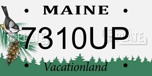 7310UP Maine License Plate