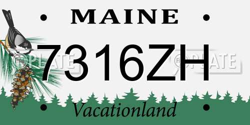 7316ZH Maine License Plate