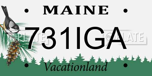 731IGA Maine License Plate