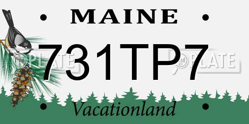 731TP7 Maine License Plate