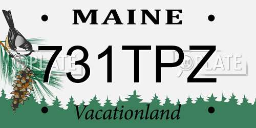 731TPZ Maine License Plate