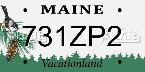 731ZP2 Maine License Plate