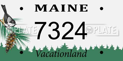 7324 Maine License Plate