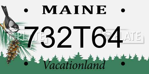 732T64 Maine License Plate