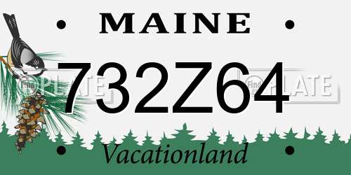 732Z64 Maine License Plate