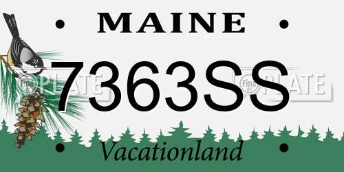 7363SS Maine License Plate