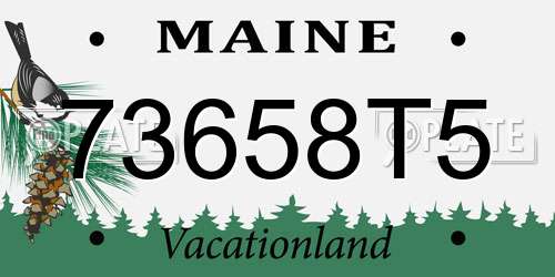 73658T5 Maine License Plate