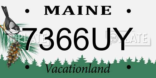 7366UY Maine License Plate