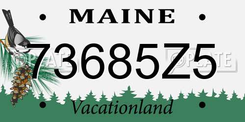 73685Z5 Maine License Plate