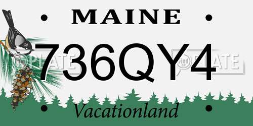 736QY4 Maine License Plate