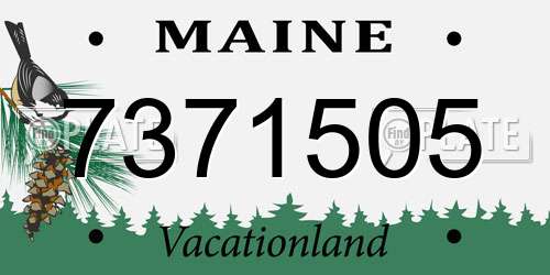 7371505 Maine License Plate