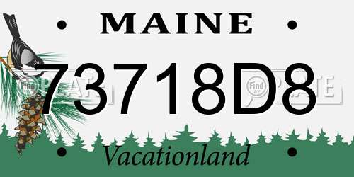 73718D8 Maine License Plate
