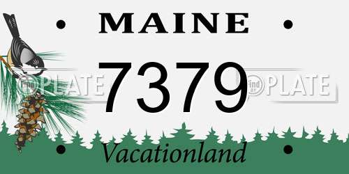 7379 Maine License Plate