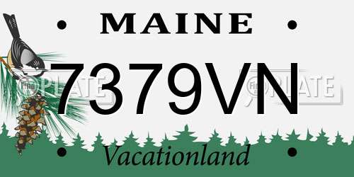 7379VN Maine License Plate
