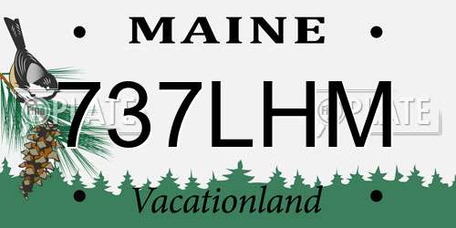 737LHM Maine License Plate