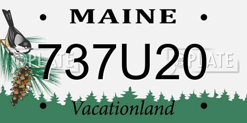 737U20 Maine License Plate