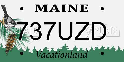 737UZD Maine License Plate