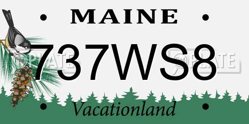 737WS8 Maine License Plate