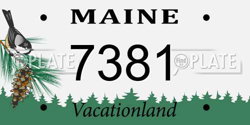 7381 Maine License Plate