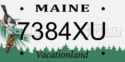 7384XU Maine License Plate